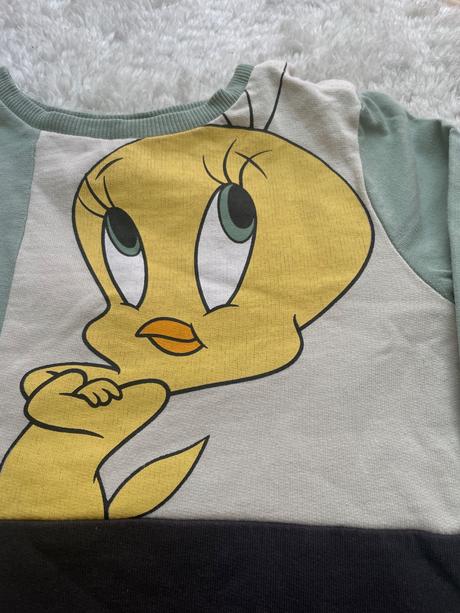 Teplakova suprava s tweety, 98