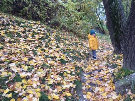 Zimna bunda zara, zara,98