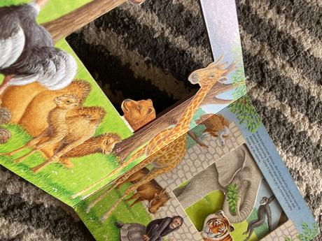 Zvedavá opička kika (2006), 