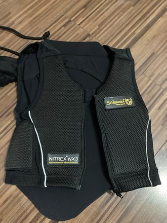 Jazdecka korytnacka, 