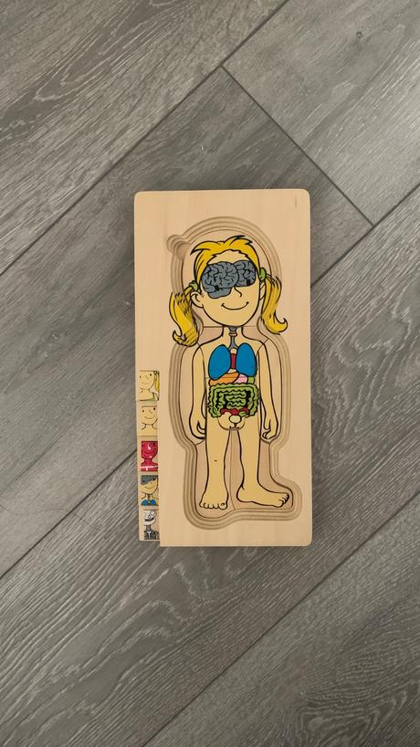 Drevené puzzle / vkladačka goki - ľudské telo, 