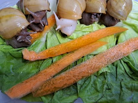 Africký slimáčikovia  mix, 