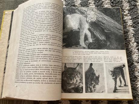 Živé poklady prvé vydanie 1963,