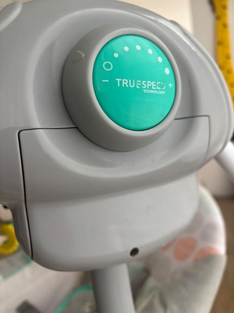 Hojdacka birgit starts,