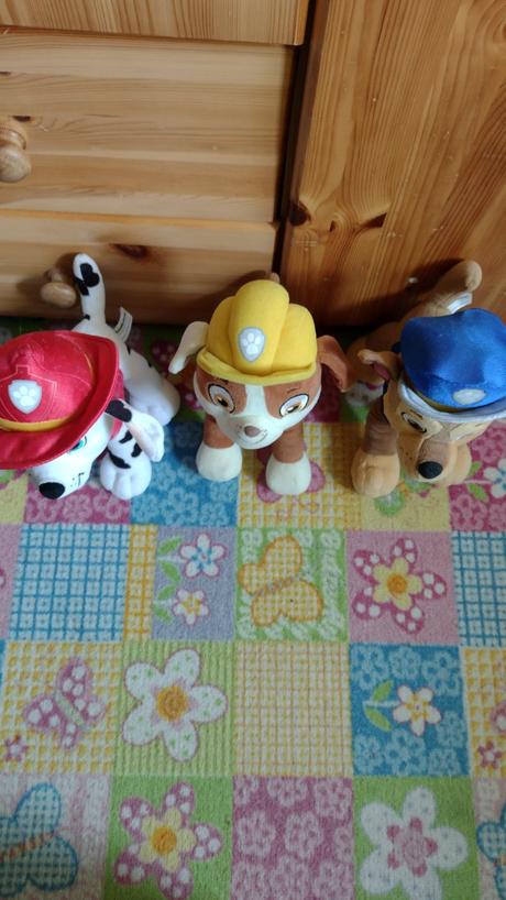 Paw patrol, 