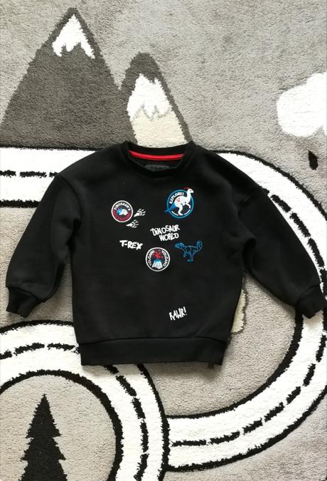 Mikina vel. 104 dinosaury, reserved,104