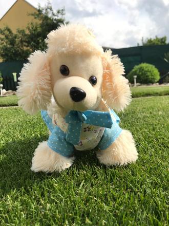 Plyšový psík,