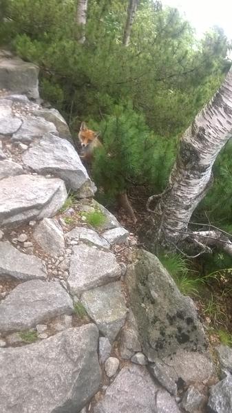 Ži zdravo a športovo