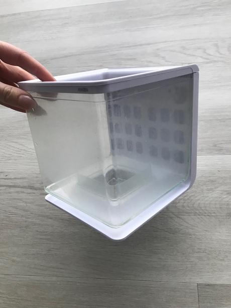 Akvarium pre bojovnicu,