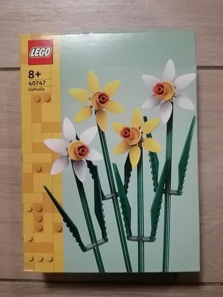 Lego narcisy 40747,
