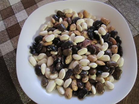 Fazuľa šarlatová tyčková--scarlet, 