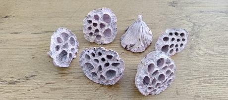 Ozdobná aplikácia - lotos - ružový - 40-60 mm,