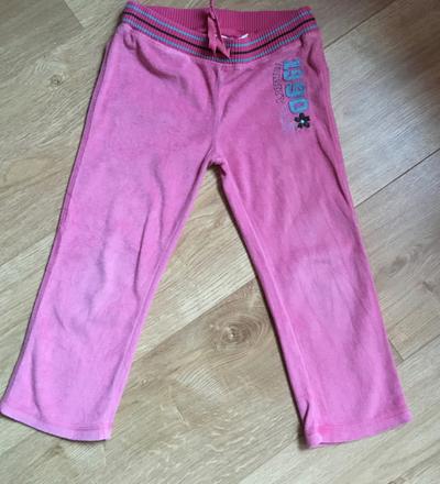 Teplaky, pumpkin patch,98