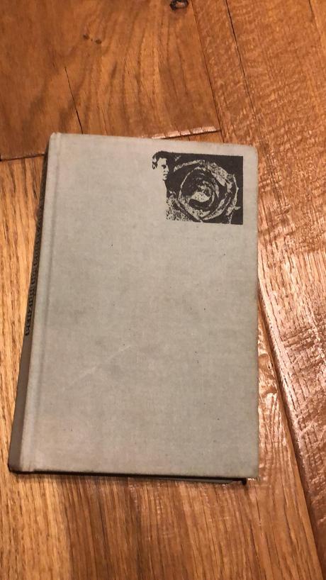 Penzión na pobrežnej ceste - edigey jerzy,