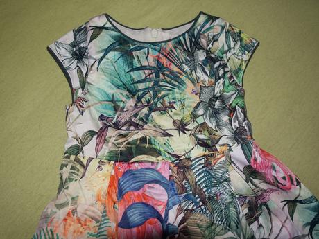 Satocky next, next,98