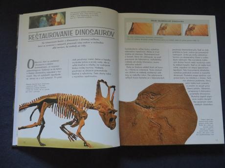 2x encyklopédia o dinosauroch - ako nové,