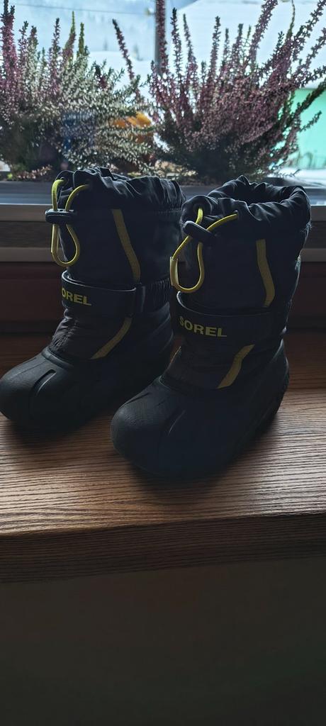 Snehule sorel, sorel,27