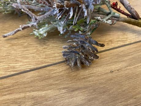 Vetvička - konárik so šiškami a bobuľkami červeným,