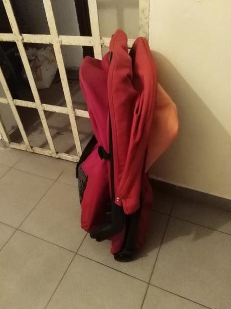 Športový kociar, concord,concord wanderer