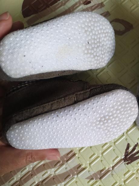 Capačky 18/19, coccodrillo,18