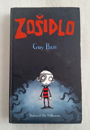 Kniha pre chlapcov zošidlo, guy bass, 