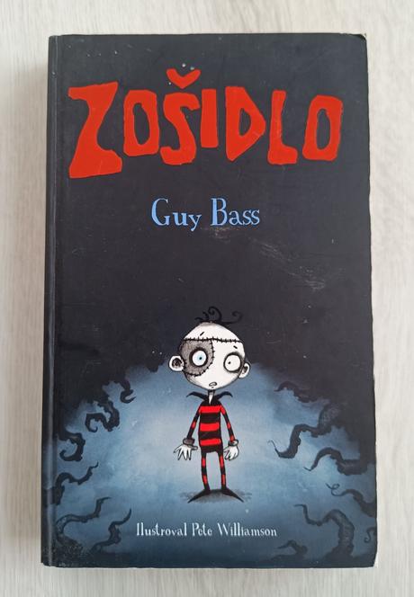 Kniha pre chlapcov zošidlo, guy bass,
