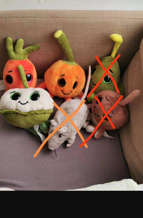 Plyšoví ovocníčkovia, 