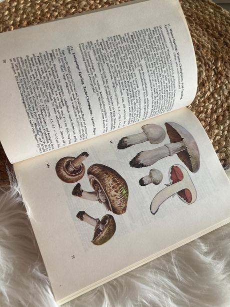Taschenbuch für pilzfreunde (1987),