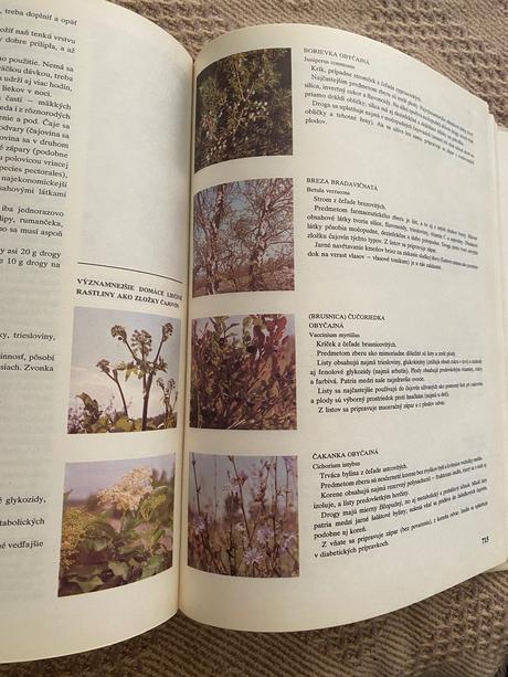 Obrovská stará retro kniha zdravoveda osveta 1980, 