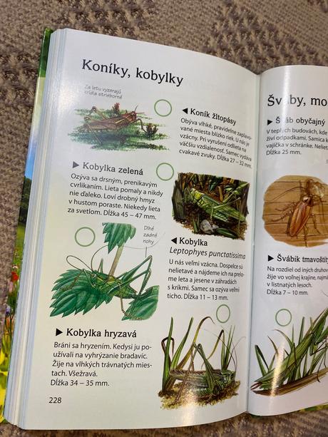 Krásna kniha sprievodca prírodou zvieratá kvety,