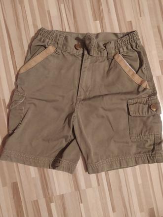 Kratase, ladybird,134