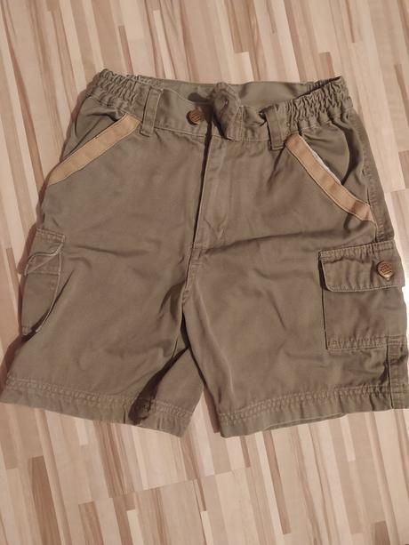 Kratase, ladybird,134