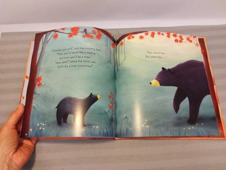 Stephanie stansbie - someday hb nsu23,