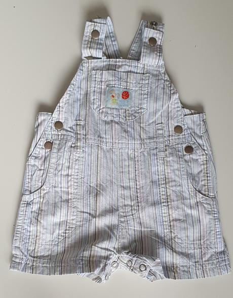 Kraťasy, st. bernard,56