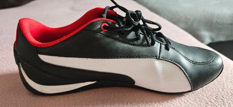 Halovky puma, puma,35