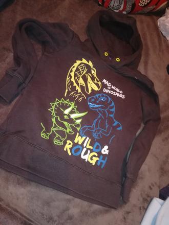 Mikina, dopodopo,110