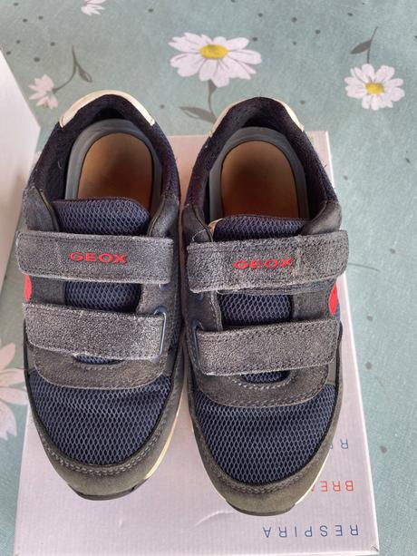 Geox botasky, geox,31