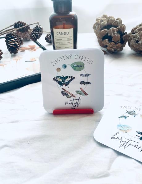 Životný cyklus - slovenské vzdelávacie kartičky,