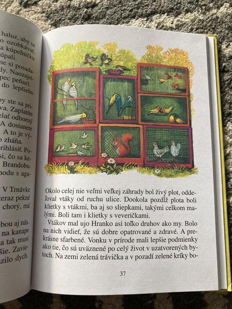 Vtáčiky zo starej horárne - mária haštová (2001), 