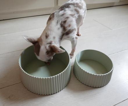 Misky pre psov,