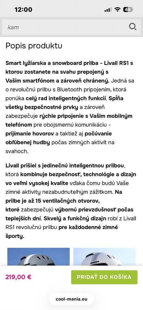 Prilba na lyžovanie, 