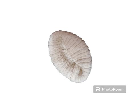 Dievčenská čiapočka z akrylu, 104