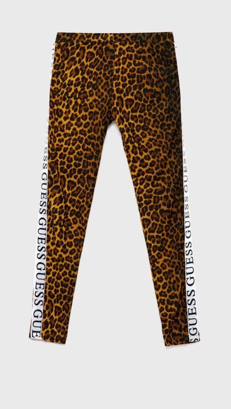 Leginy guess, guess,140