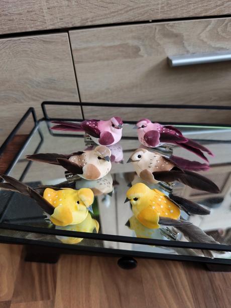 Vtáčiky na štipci, 