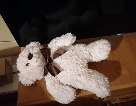 Medvedík s mašľou, 