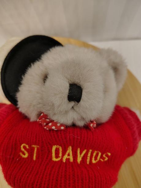Kĺbový medvedík suvenír st davids, wales, 26 cm, 