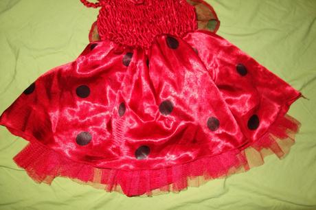 Lienkvoy kostymcek ladybird,