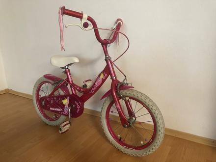 Bicykel molly, 16