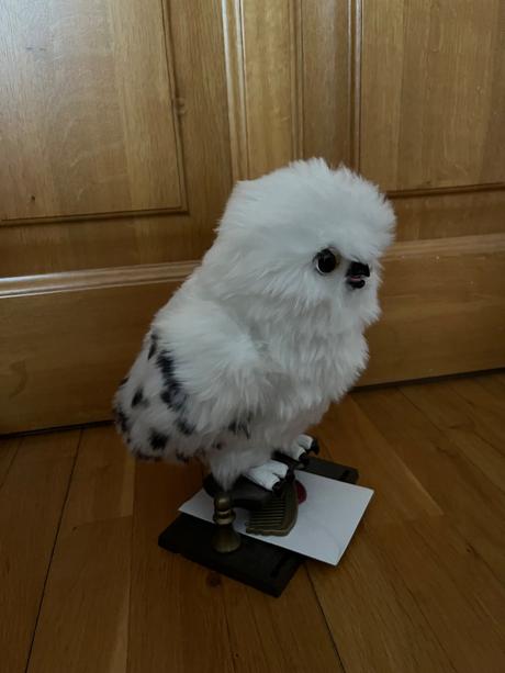 Hedwiga harry potter, 
