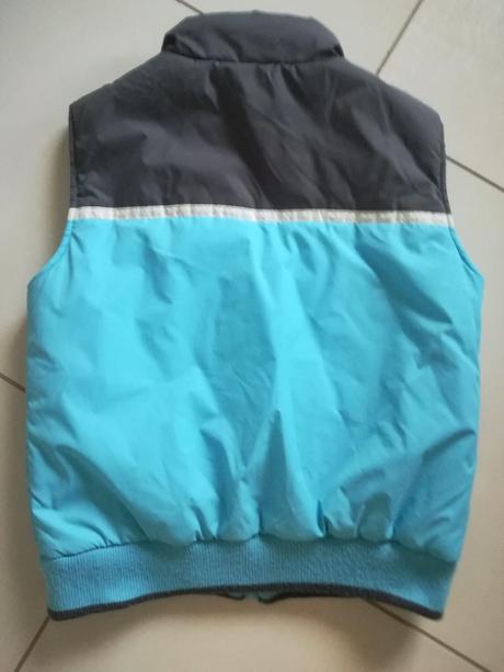 Vesta, cactus clone,134